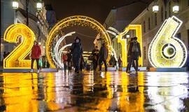 2016 metai: storesnės piniginės ir daugiau išlaidų