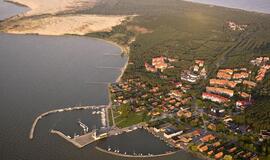 Neringos miškų kirs mažiau nei planuota