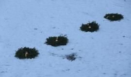 Laisvės gynėjų pagerbimo akcija