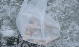 Malkų įlankoje pasirodė pirmieji žvejai