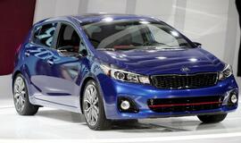 Detroito autosalono automobilių paroda