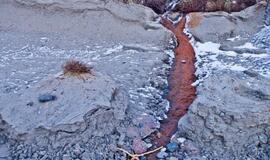 Grožis: ledo skulptūras kuria pati gamta