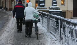 Laisvės gynėjų pagerbimo akcija