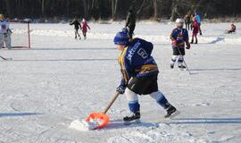 Kaimynų žiemos žaidynės ant Mumlaukio ežero ledo