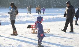 Kaimynų žiemos žaidynės ant Mumlaukio ežero ledo