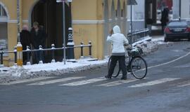 Laisvės gynėjų pagerbimo akcija