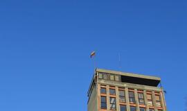 Vėliavos pakėlimo ceremonija