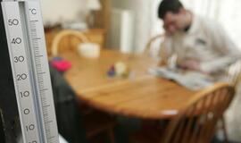 Renovacijos dienoraštis (25)