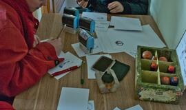 Jūros paukščių diena Karklėje