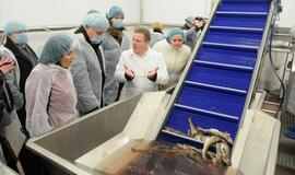 Klaipėda bus maitinama šviežiomis žuvimis