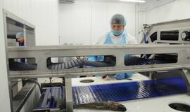 Klaipėda bus maitinama šviežiomis žuvimis