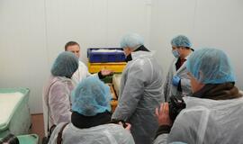 Klaipėda bus maitinama šviežiomis žuvimis