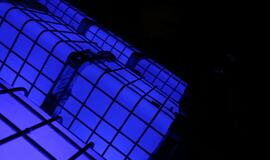 Klaipėdos šviesų festivalio 2016 atidarymas