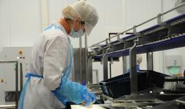 Klaipėda bus maitinama šviežiomis žuvimis