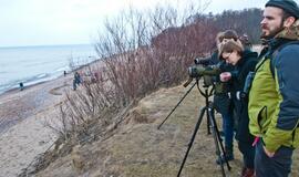 Jūros paukščių diena Karklėje