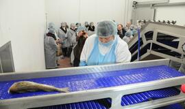 Klaipėda bus maitinama šviežiomis žuvimis