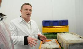 Klaipėda bus maitinama šviežiomis žuvimis