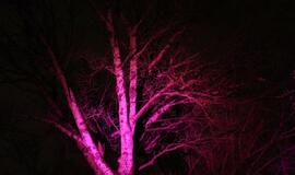 Klaipėdos šviesų festivalio 2016 atidarymas