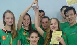 "Gintaro" plaukikams - laurai