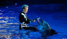 Klaipėdos delfinariume -  "Delfinai ir žvaigždės"