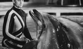Klaipėdos delfinariume -  "Delfinai ir žvaigždės"