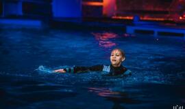 Klaipėdos delfinariume -  "Delfinai ir žvaigždės"