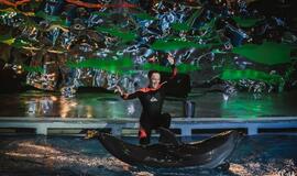 Laidos "Delfinai ir žvaigždės" filmavimo užkulisiai