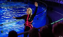 Klaipėdos delfinariume -  "Delfinai ir žvaigždės"