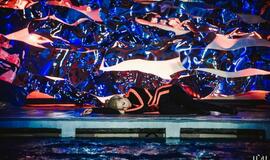 "Delfinai ir žvaigždės": jausmų tema