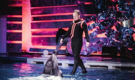 Klaipėdos delfinariume -  "Delfinai ir žvaigždės"