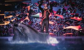 Klaipėdos delfinariume -  "Delfinai ir žvaigždės"