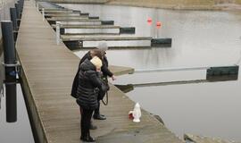 Rastas Gintauto Matulaičio kūnas