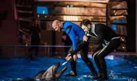 Laidos "Delfinai ir žvaigždės" filmavimo užkulisiai