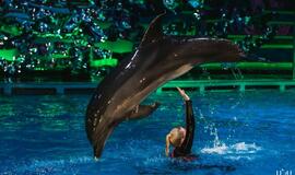 Delfinai ir žvaigždės: Nijolė Pareigytė-Rukaitienė