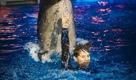 "Delfinai ir žvaigždės": jausmų tema