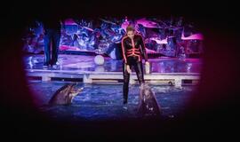 Laidos "Delfinai ir žvaigždės" filmavimo užkulisiai