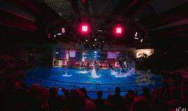 Klaipėdos delfinariume -  "Delfinai ir žvaigždės"