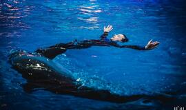 "Delfinai ir žvaigždės": jausmų tema