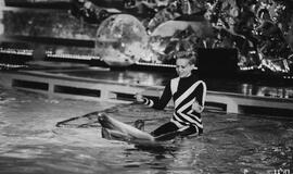 Klaipėdos delfinariume -  "Delfinai ir žvaigždės"