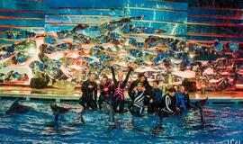 Klaipėdos delfinariume -  "Delfinai ir žvaigždės"