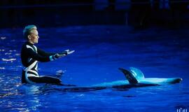 Klaipėdos delfinariume -  "Delfinai ir žvaigždės"