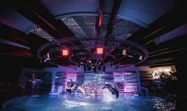 Klaipėdos delfinariume -  "Delfinai ir žvaigždės"