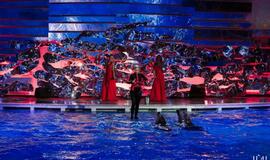 Klaipėdos delfinariume -  "Delfinai ir žvaigždės"