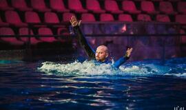 Klaipėdos delfinariume -  "Delfinai ir žvaigždės"