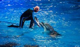 Klaipėdos delfinariume -  "Delfinai ir žvaigždės"