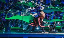 Delfinai ir žvaigždės: Nijolė Pareigytė-Rukaitienė