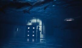 Klaipėdos delfinariume -  "Delfinai ir žvaigždės"