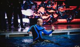 "Delfinai ir žvaigždės": jausmų tema