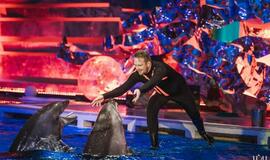 Klaipėdos delfinariume -  "Delfinai ir žvaigždės"