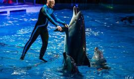 Klaipėdos delfinariume -  "Delfinai ir žvaigždės"